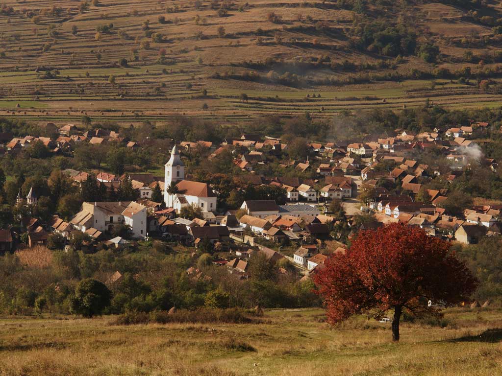 Foto Rametea toamna (c) Petru Goja